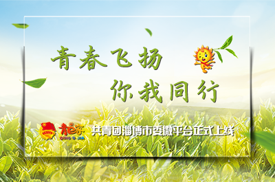 某省级智慧社区示范项目